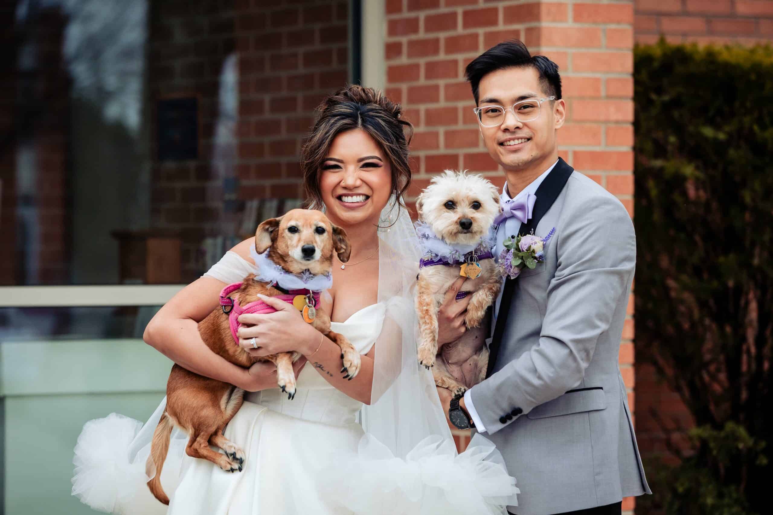 Cute Dog at Wedding Photography